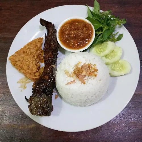 Paket Lele Bkr