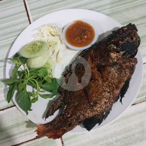Ikan Nila Bkr